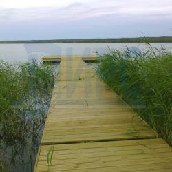 какая рыба водится в стоячей воде. Смотреть фото какая рыба водится в стоячей воде. Смотреть картинку какая рыба водится в стоячей воде. Картинка про какая рыба водится в стоячей воде. Фото какая рыба водится в стоячей воде