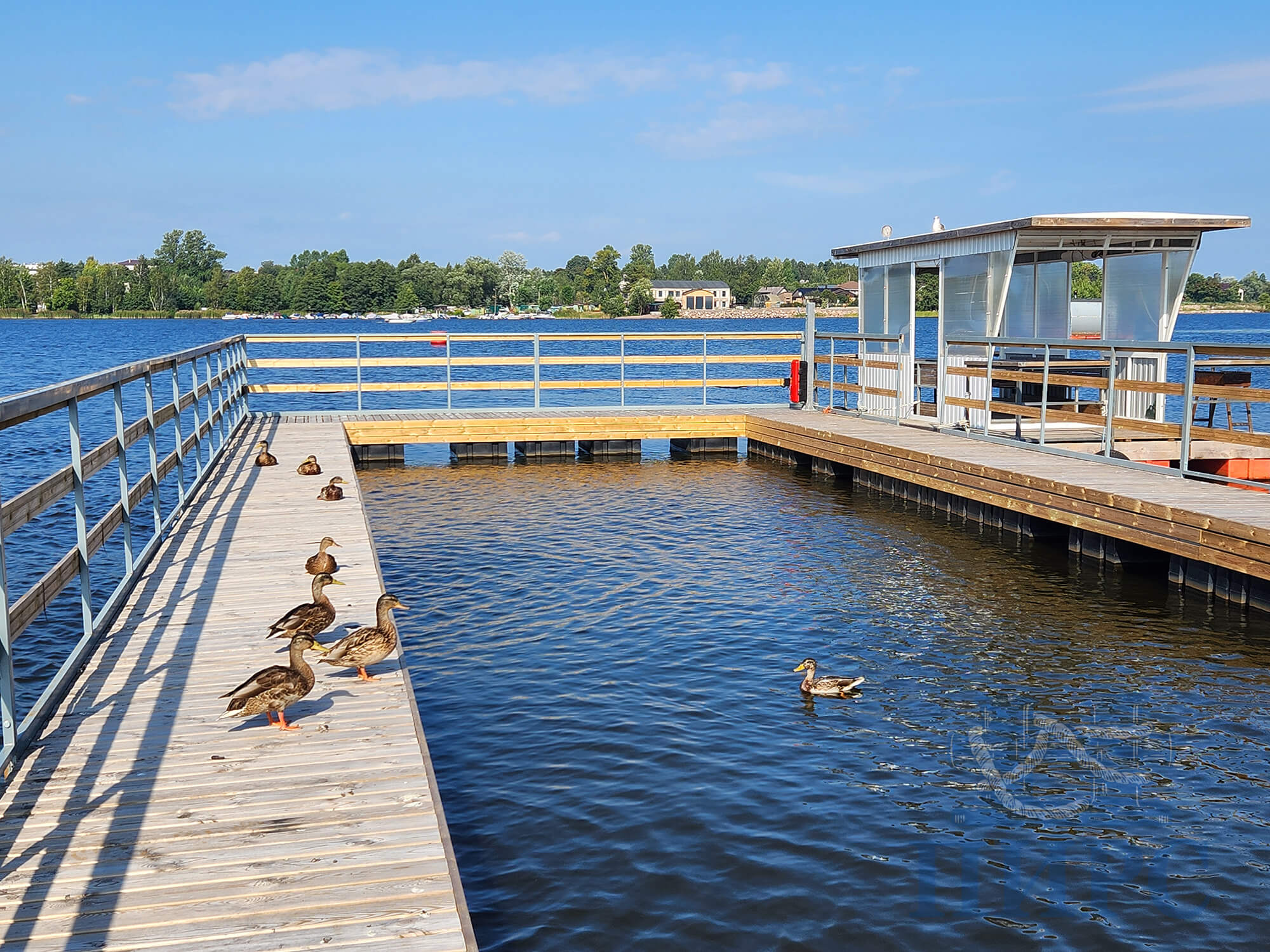 плавучий бассейн из понтонов